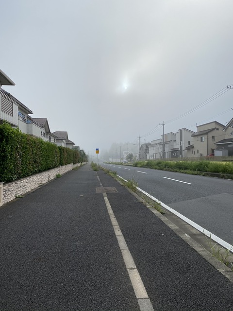 FB82D8FE-D717-42C5-A0A5-90FD00D3D621