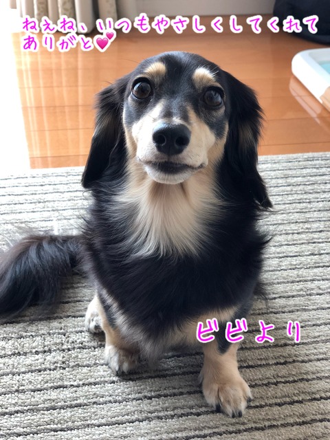 1EC17A26-74C7-4405-B050-BBF58CC4C687