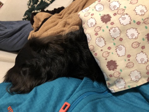 4164FB7F-8664-40BF-871D-BE401F28CC1B