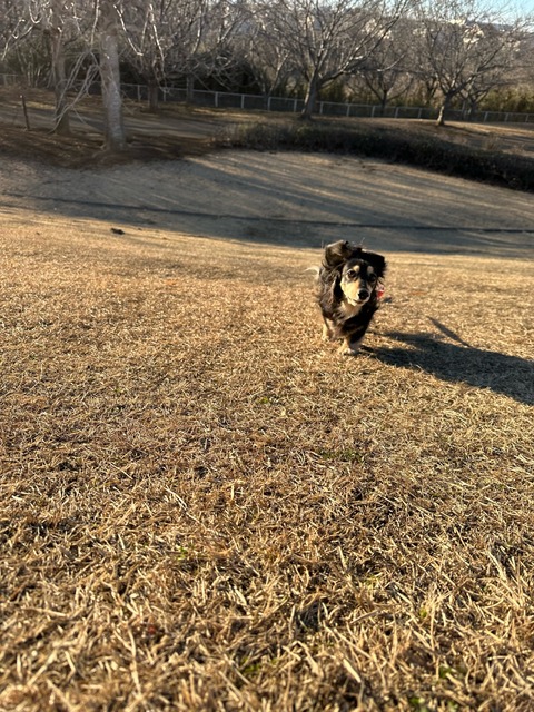 A06115D9-F8A2-45D2-A0FC-34E3FC9C2AF1