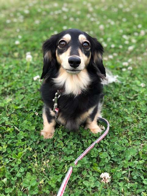 5B17ED8E-E547-4C95-9D89-967A0349633F