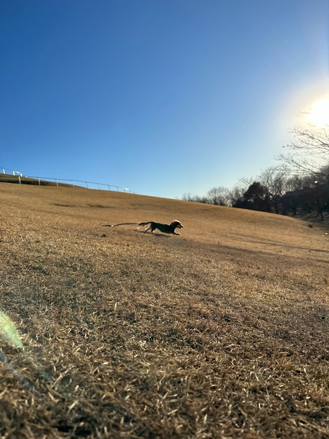 86AF8237-4BFD-4EA2-9D84-5AD47EEF8854