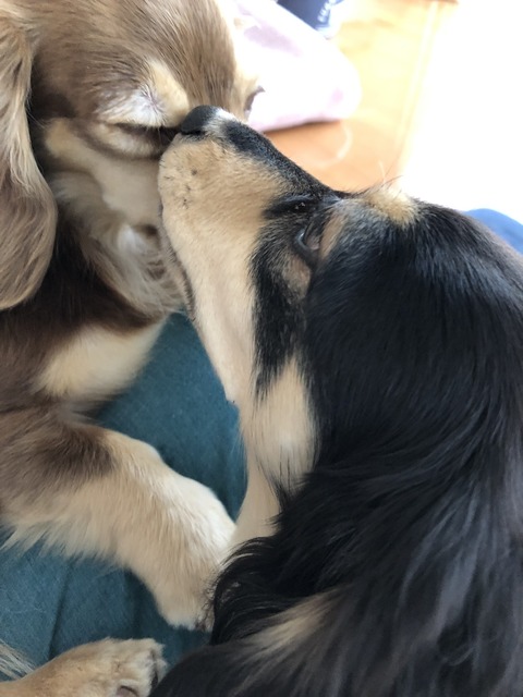 F9403416-0622-4C3C-A52F-768740C1357C