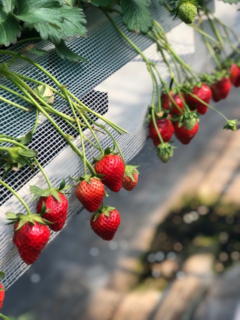 2CD45E0E-B21A-4237-B7B8-0D15E67B4485