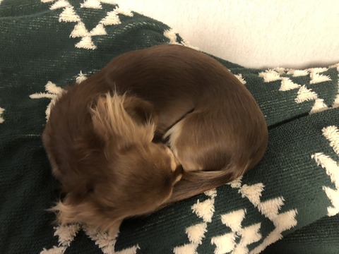 27E48709-4345-47BA-B46F-5F0BBF673CB4