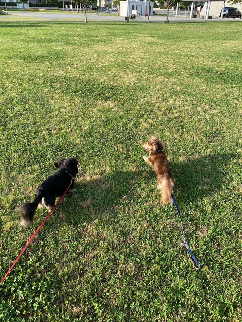 4262FF1A-8C50-4653-A0EC-CFD86636C9FF