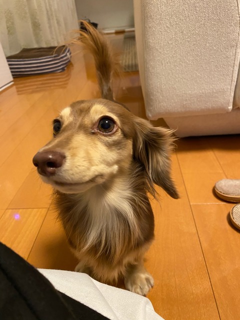 FBCB6727-6151-4AEB-9301-AC45ACCC39AA