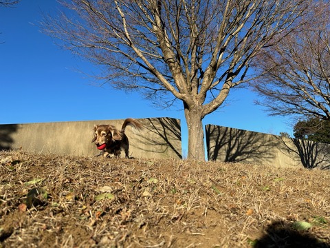 2CAAEC28-CB88-4DD1-9073-E8D1DC59CF88