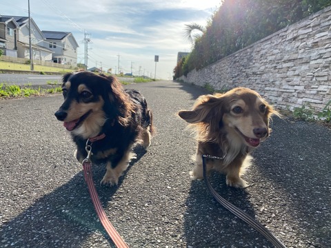 9AEE2664-52BB-444D-B586-5AF3301C8563