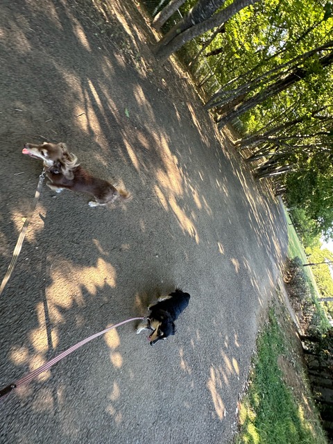 B9823236-2EF1-4F6E-88DC-B1ABB6E953D0