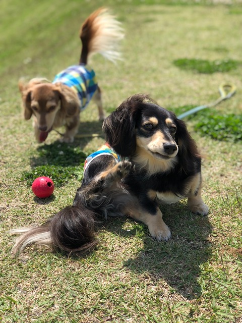 92974F8E-DA4C-4739-AFB4-581EA429536B