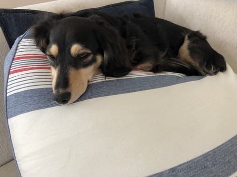 D992A2D5-A229-4019-B892-6BF2D6C4615D