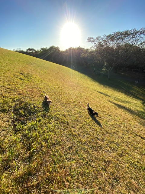 CD1501A3-28D7-4AB9-97DB-993926347410