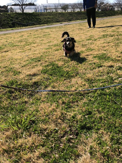 99BAA4EA-6D2E-4D36-A72D-5F92737D4A9D