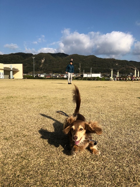 6A5228D5-4710-459F-8F68-8261A6130DA3