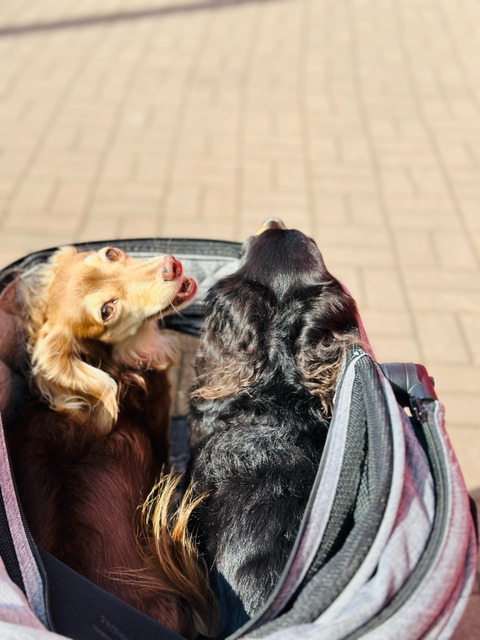 17B80107-32C4-4861-98E6-A0E5F525C4CC