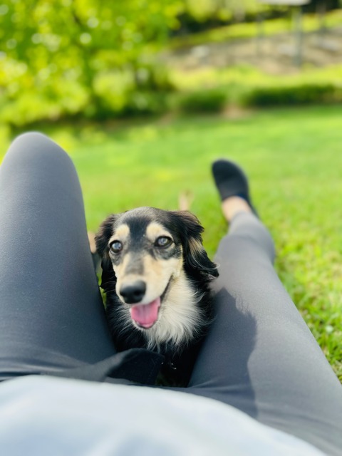 071FD21B-359F-48F4-9FC0-522E6A184A15