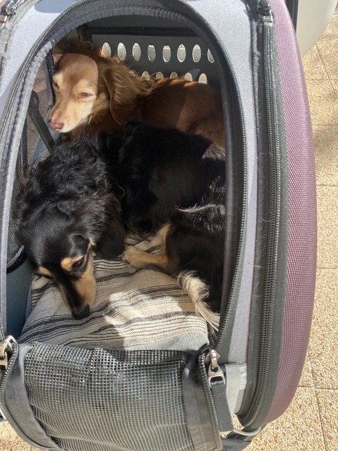 845598C7-30E7-433B-9963-496BDAA7D597