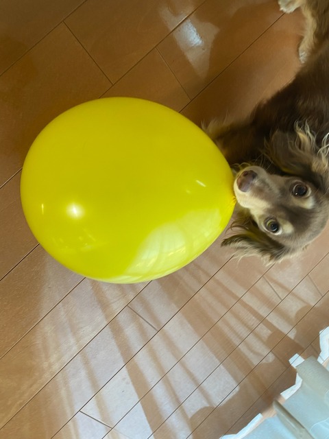 22CDD5A3-EE54-4004-A30B-6EA43ED55845