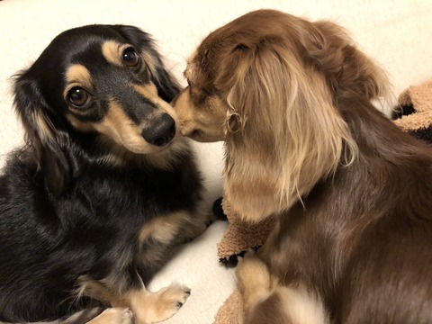 9481D4B2-754F-473E-8B0A-F2C67D97EEDC