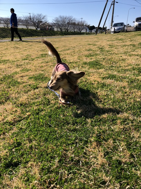 3FABA694-00A1-43DA-B125-6ACA7039895B