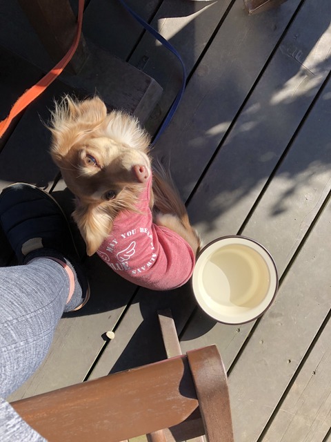 48A4D510-1819-49D6-A580-14A8880C9868