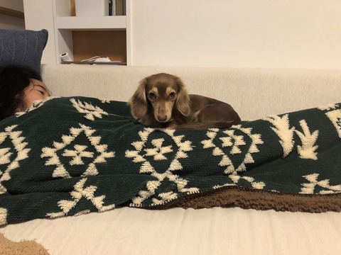 6B5A7884-F1EC-4DAA-BFCD-29054BAFA995