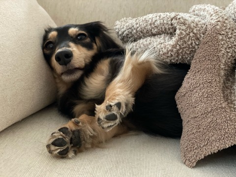 F6B798D7-D9B4-4D92-A5E4-079E67D9DA00