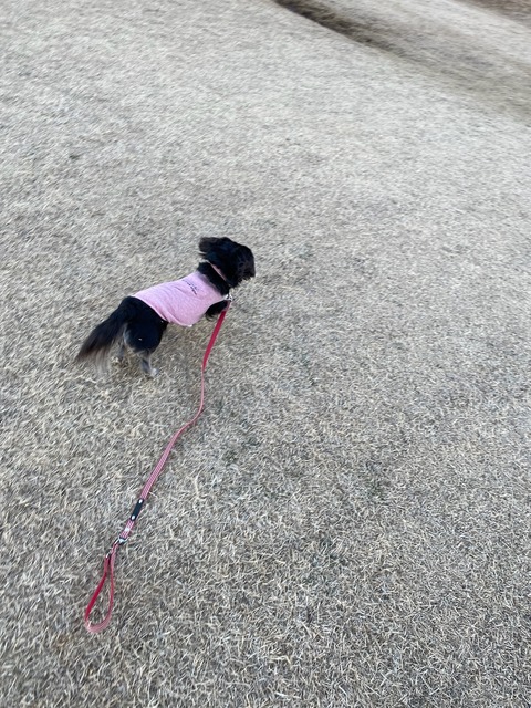 58EC066D-E465-48E2-9250-C37764BBB139