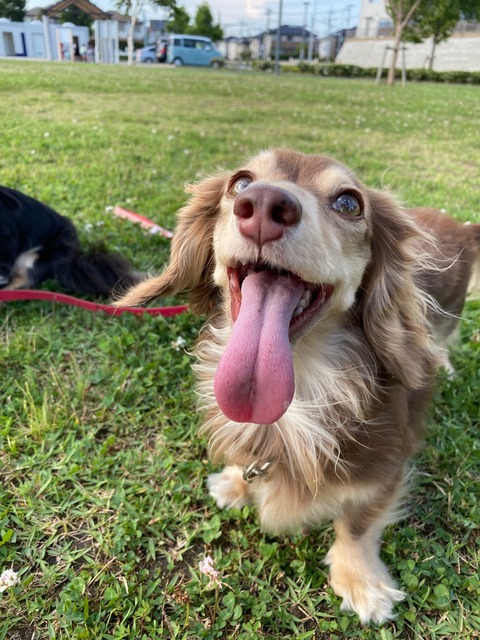 1EB9E25A-F336-4562-A62E-9F6518DA0DA8