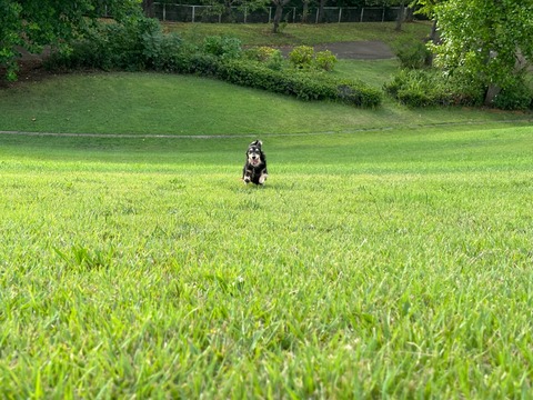 99532F78-B0EA-4B0A-B645-5053F02C255E