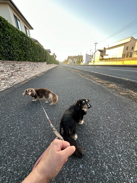 3A1664CF-61F2-4B43-9A2A-9740017305F9