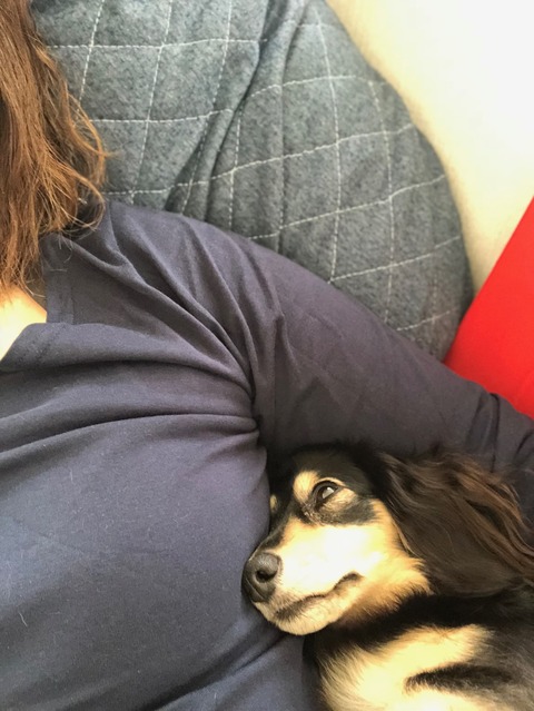 446721AB-C92E-4D45-8085-F4CE4B41BDD8