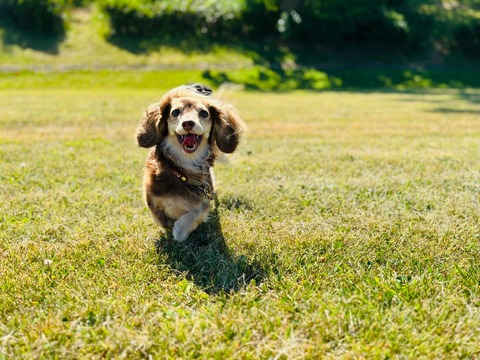 EDA1D64B-9935-47D2-8646-64D7C153FE74