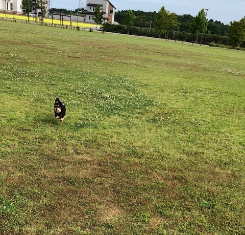 7B6E4381-6458-4C4D-B92D-B140AEBBF276