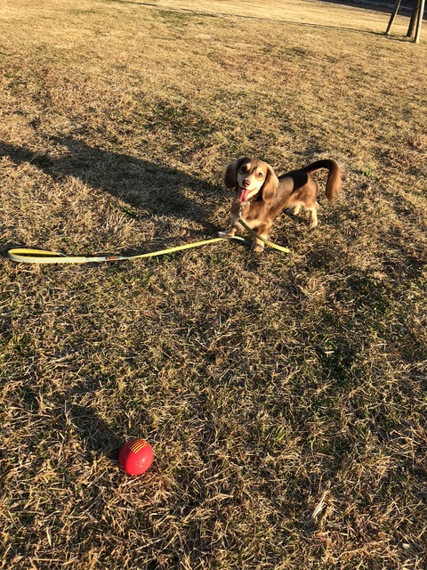 3B26E045-65AA-434A-A327-653314017ED6