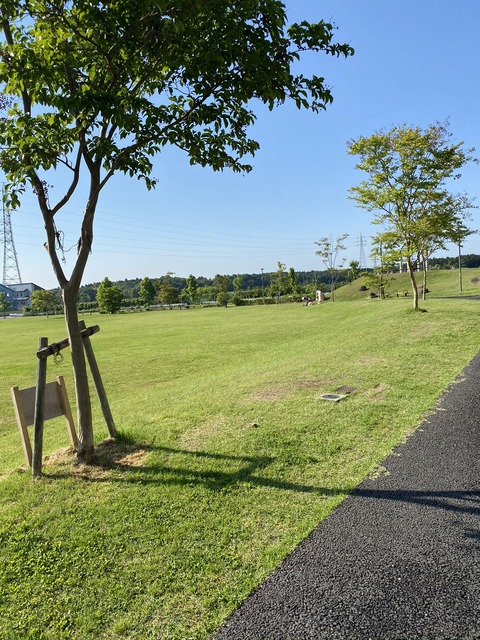 035BE133-9A41-4516-A013-B48DCE18FDBC