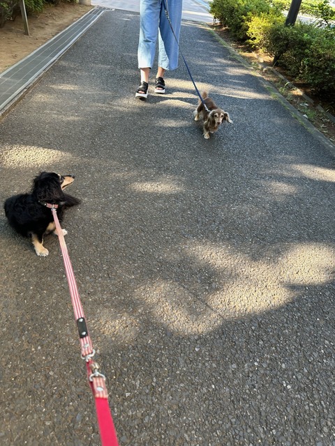 25947FAA-0D99-45DC-9809-3AECF6F344DD