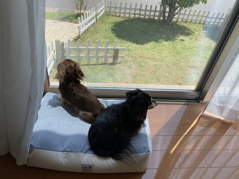 59800BA4-D36D-4945-BFF3-8FF72DBB9FCA