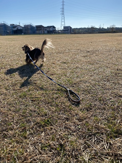 0BD27E68-1DC4-4B35-AC8B-80E91FAA47B2