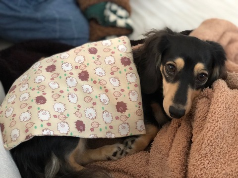 4BC8A709-A3AC-41D0-89F1-AED42A54D79E