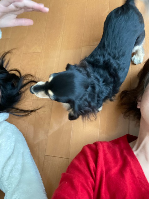 A3D3EC31-0618-478A-874E-2765362EE2D6