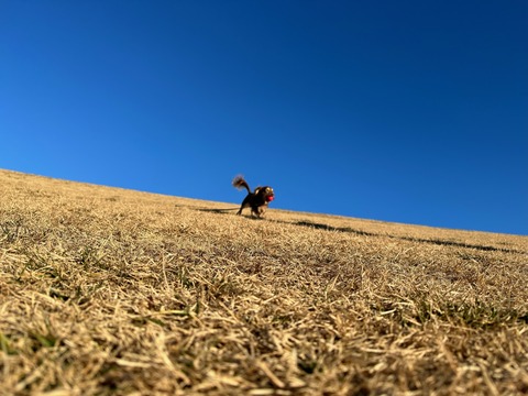 1BB4B366-4456-4D34-87ED-55FEBCBC595A