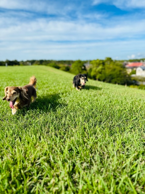 EECBA64A-37F6-4FFD-9FE7-B5BD118709E5