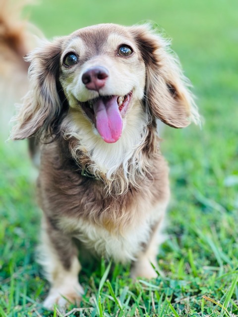 2D131715-B85F-4BB0-9ABA-592E37C918E7