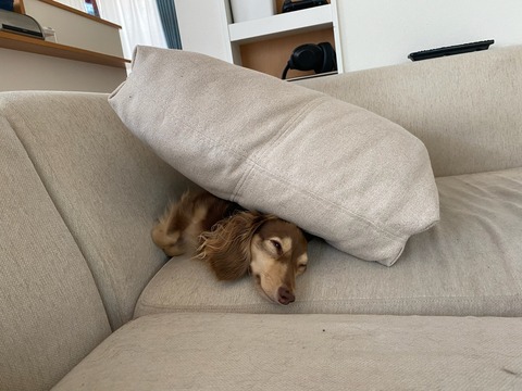 4AFE6D0A-4206-4782-9F40-DA137C585C57