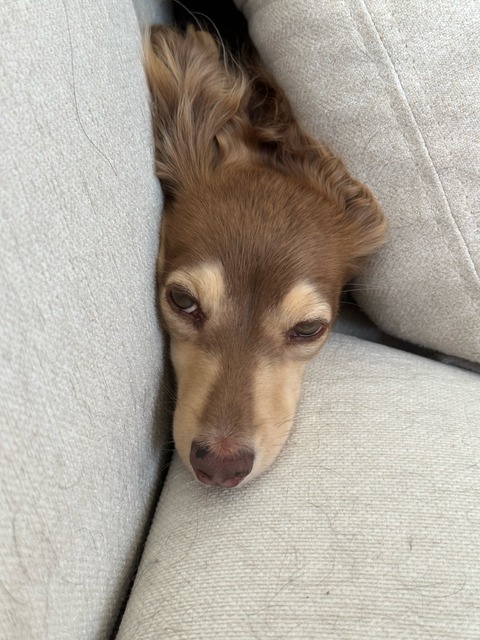 A8B2CF6B-46CD-4EAA-B88D-D2690BF66E77