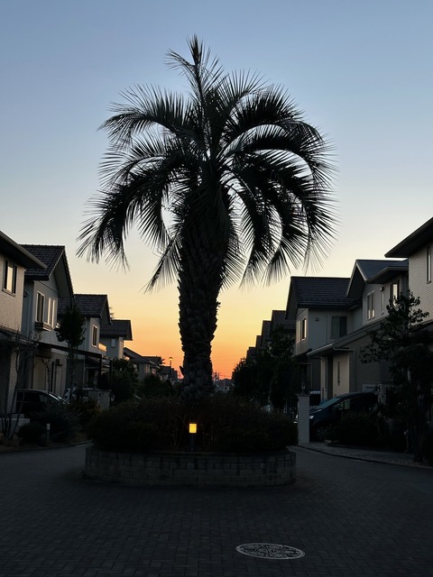 A0620A40-6373-48E6-BF27-AFAA2D903F13