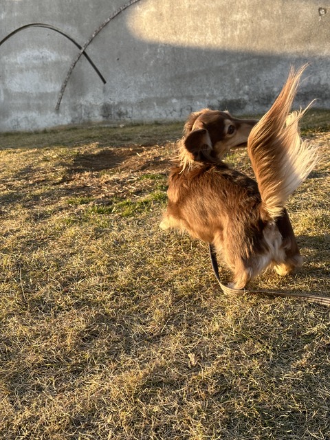 528F4D74-3217-4DCA-9D6A-AFCF6270DFA8
