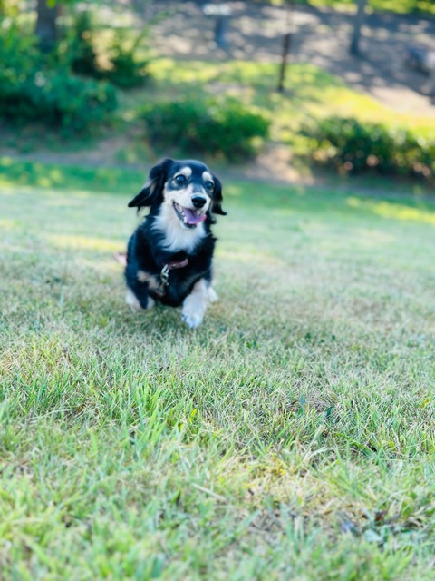 EDF2B8EB-621B-486D-B10C-03AC45ACE2DB